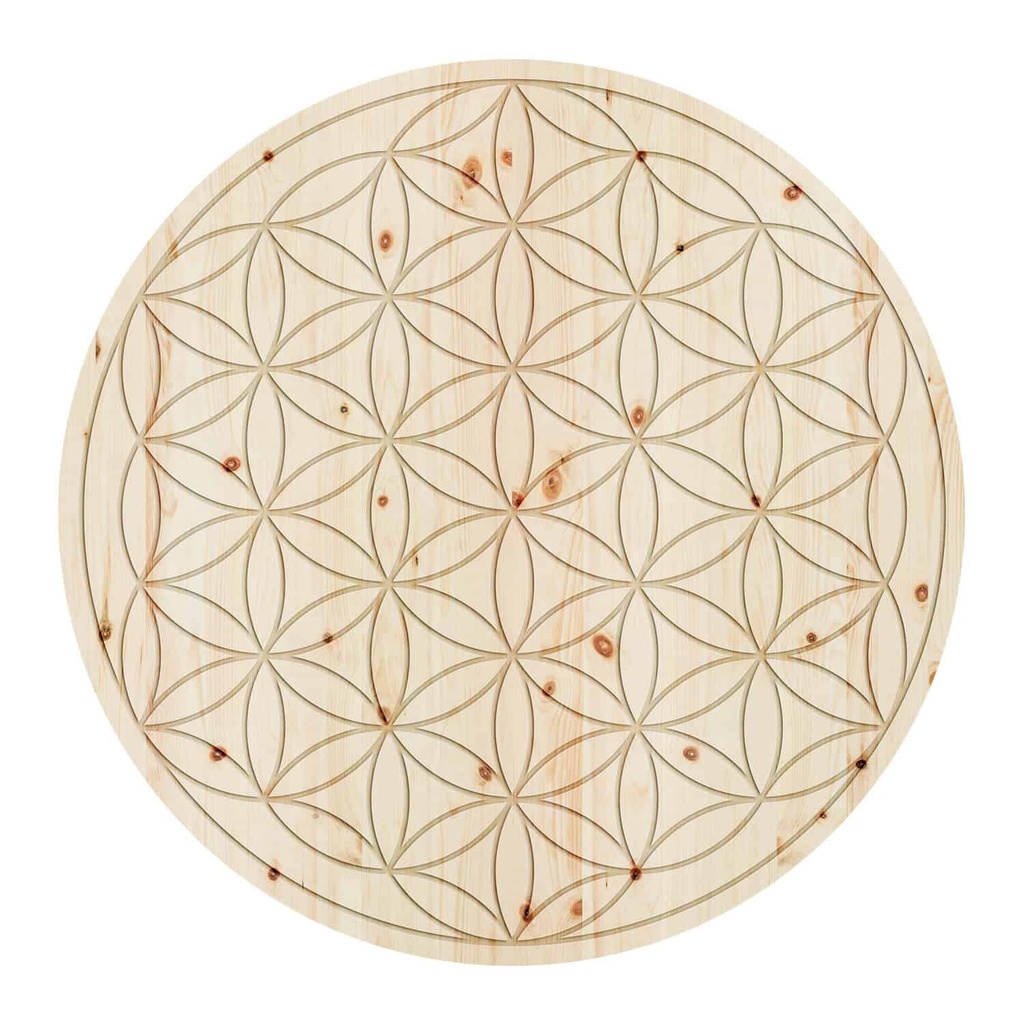 Wandbild ZirbenBlume des Lebens 300 cm