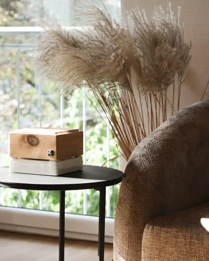  ZirbenLüfter® CUBE II für 40 m² 