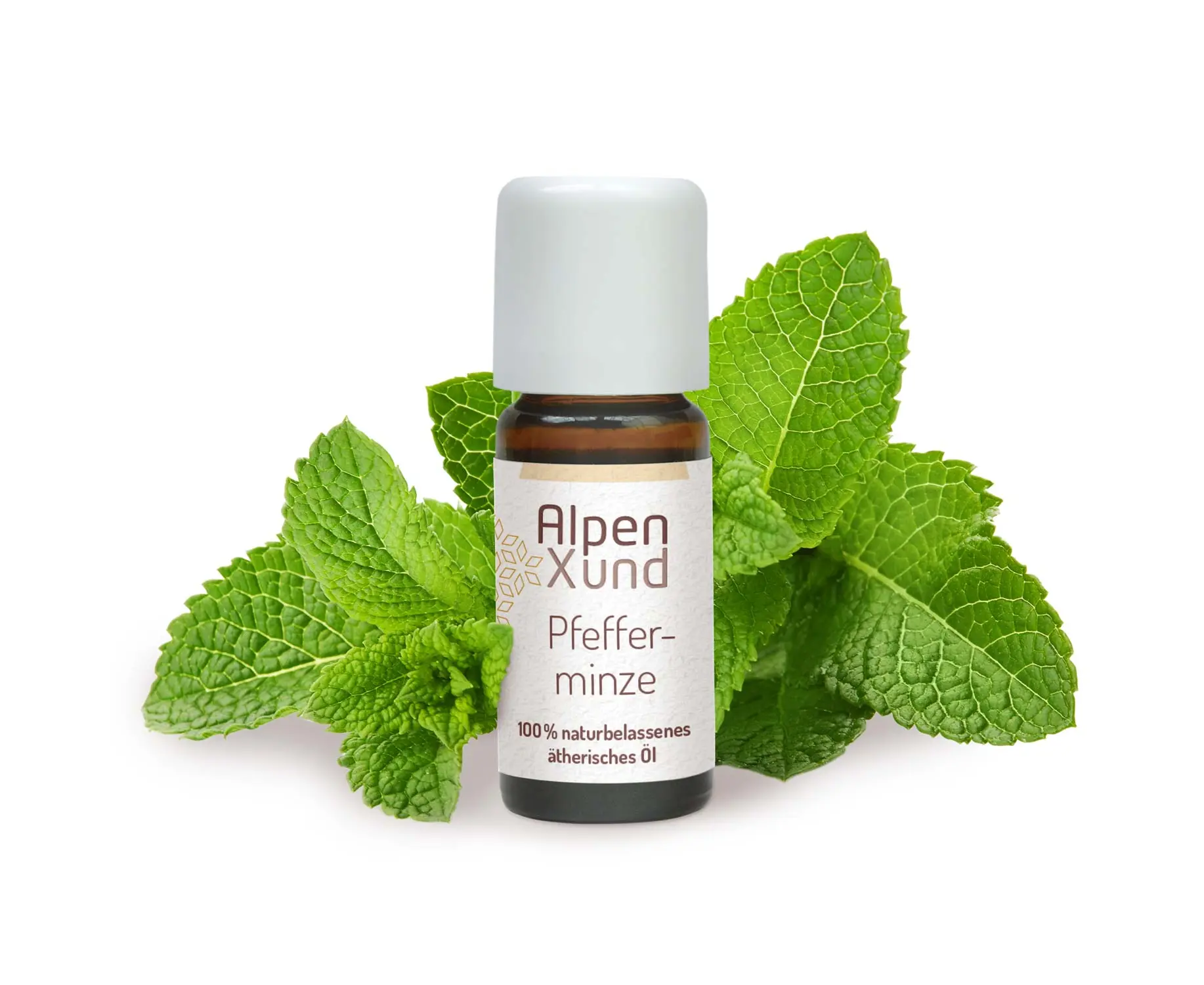 Pfefferminz Öl 10ml AlpenXund