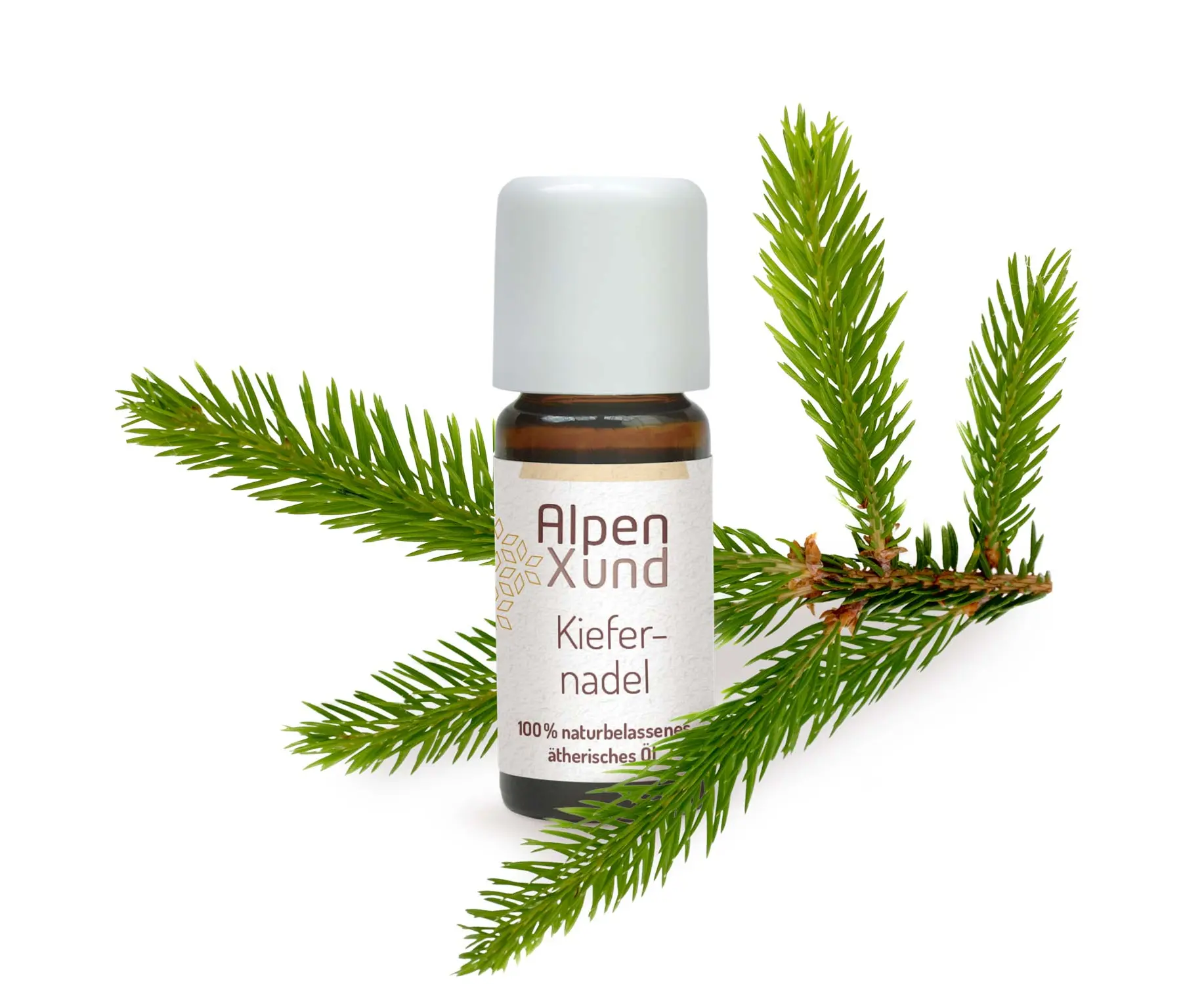 [96007] Kiefernadel Öl 10ml AlpenXund