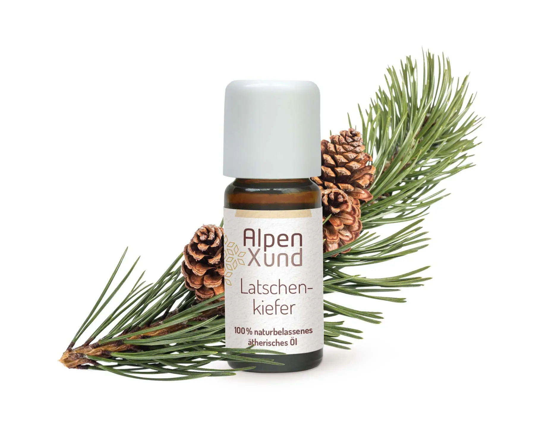 [96005] Latschenkiefer Öl 10ml AlpenXund