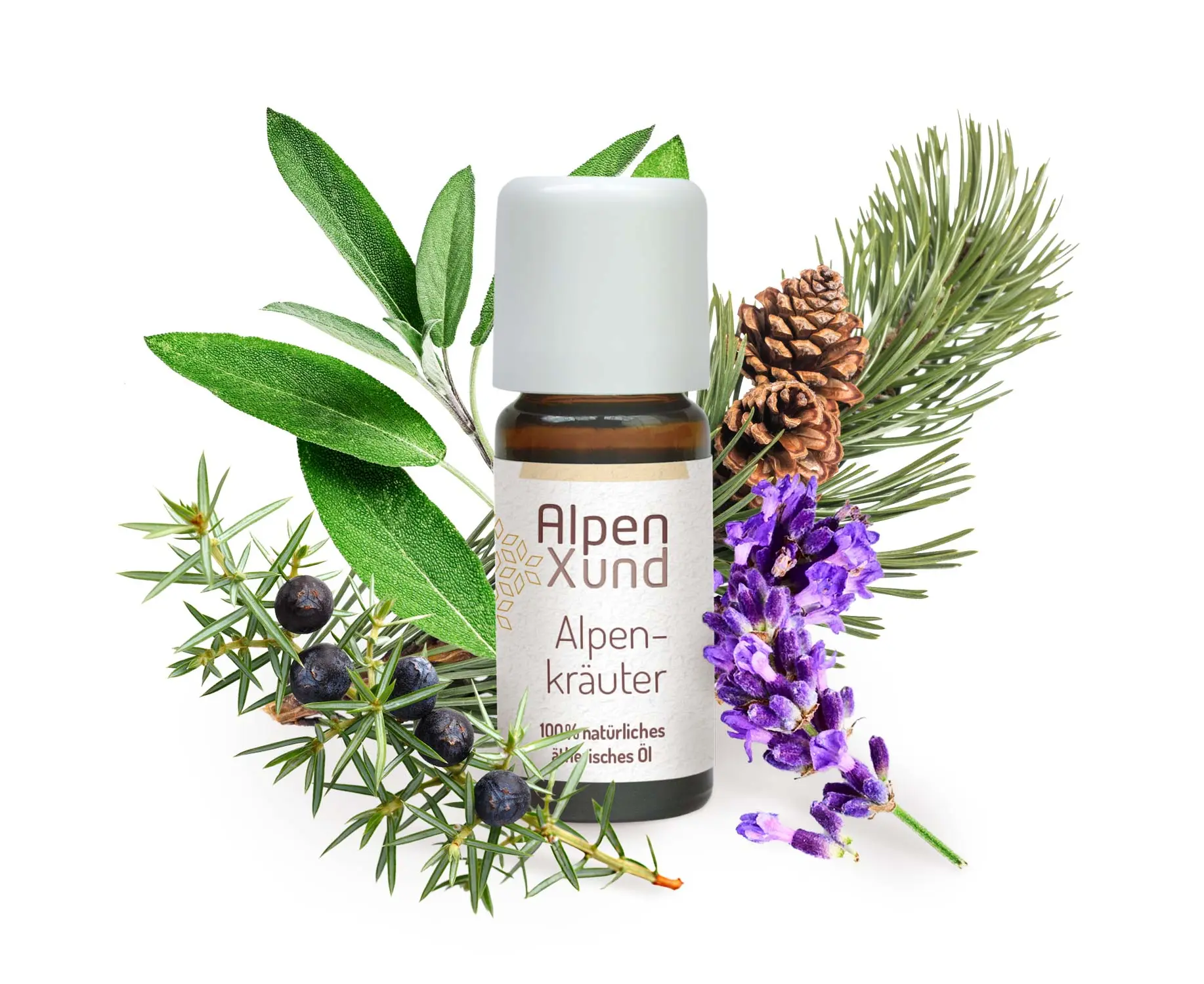 [96015] Alpenkräuter Öl 10ml AlpenXund